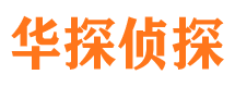 呼玛市调查公司